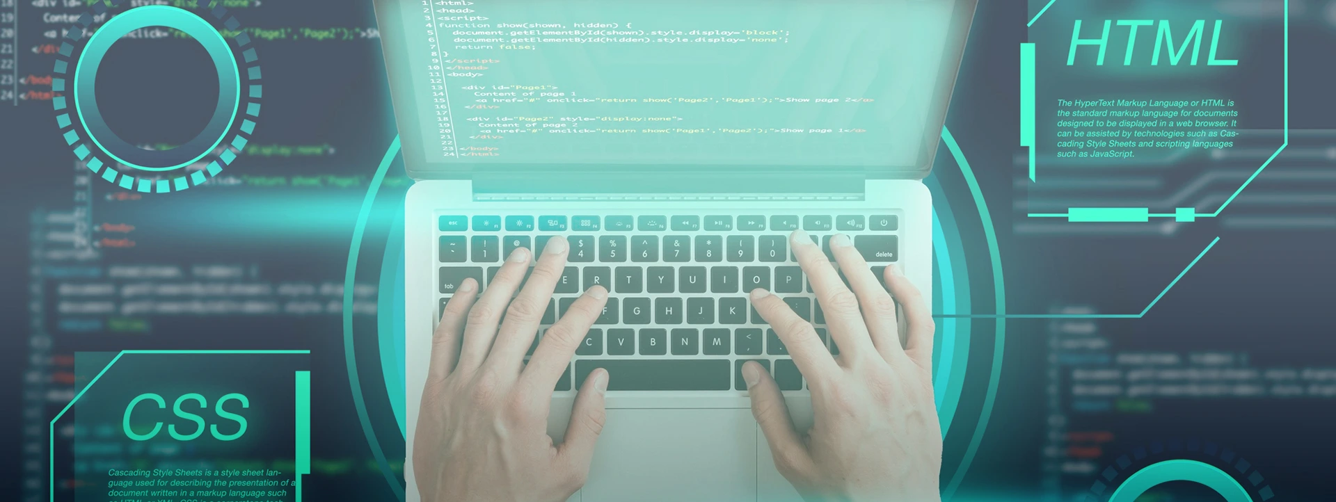 Web Tasarım